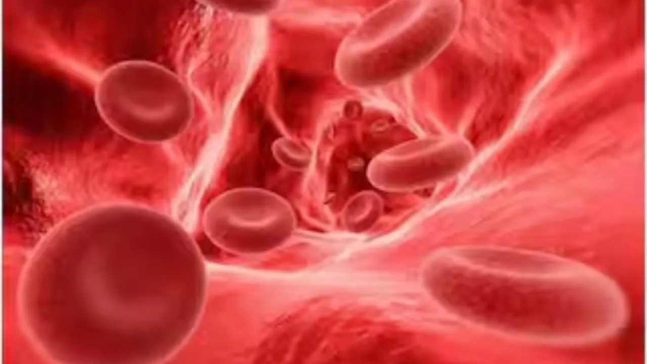 Uttar Pradesh leads in Anaemia Free India Campaign