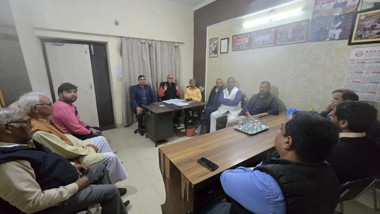 electricity privatisation