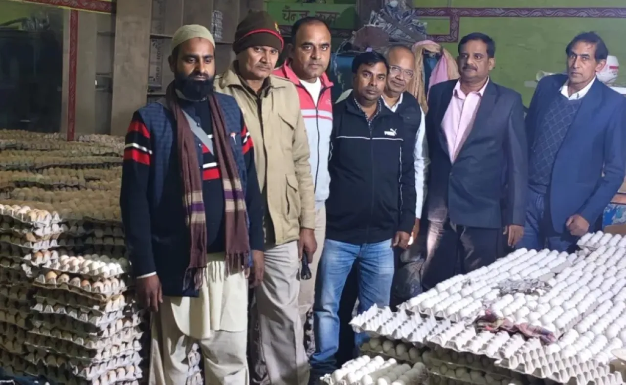 वाईबीएन