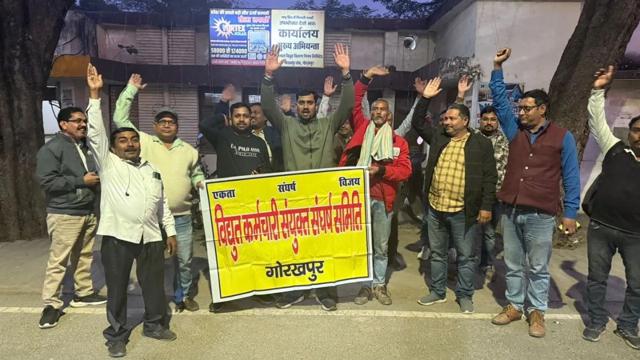 electricity privatisation