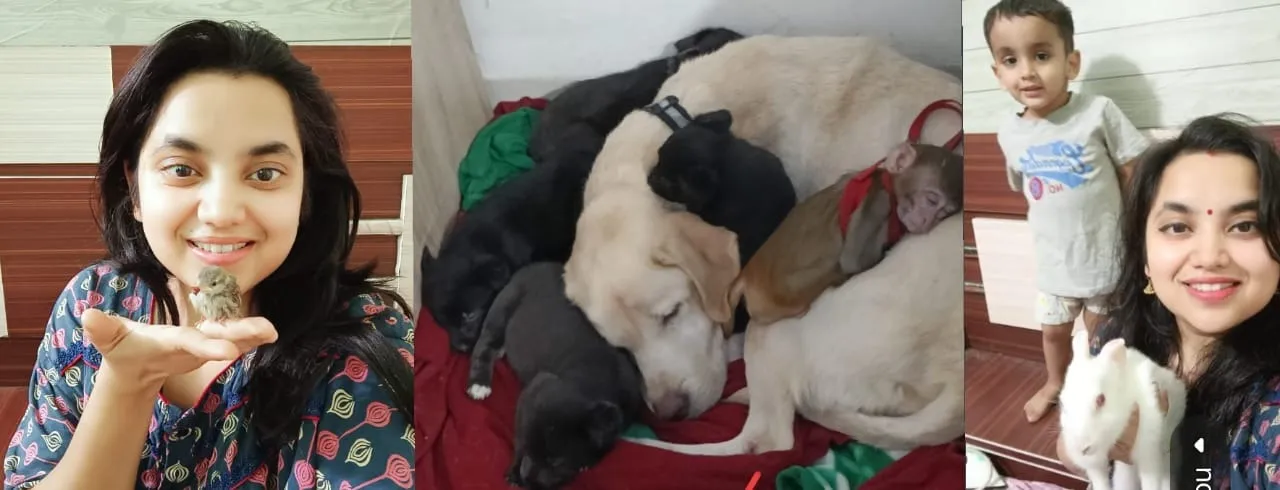 डा दीप्ति सिंह के पशु प्रेम की झलक