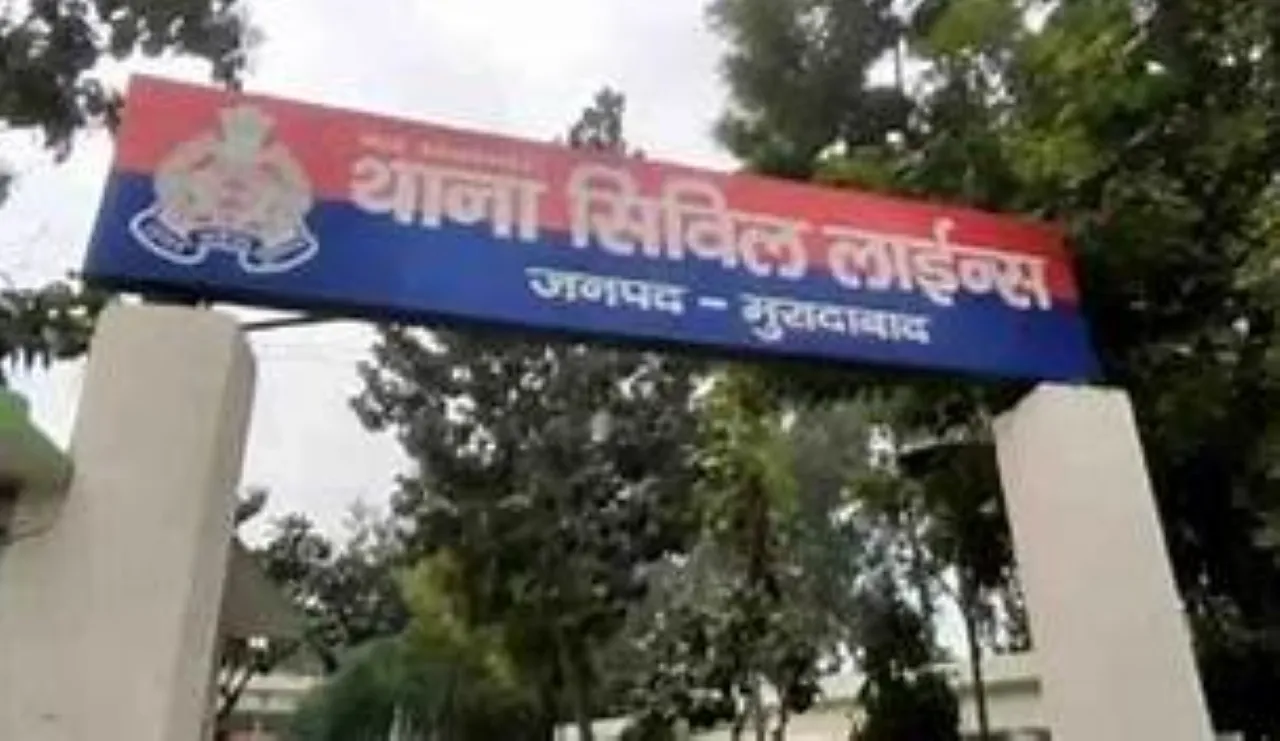 वाईबीएन