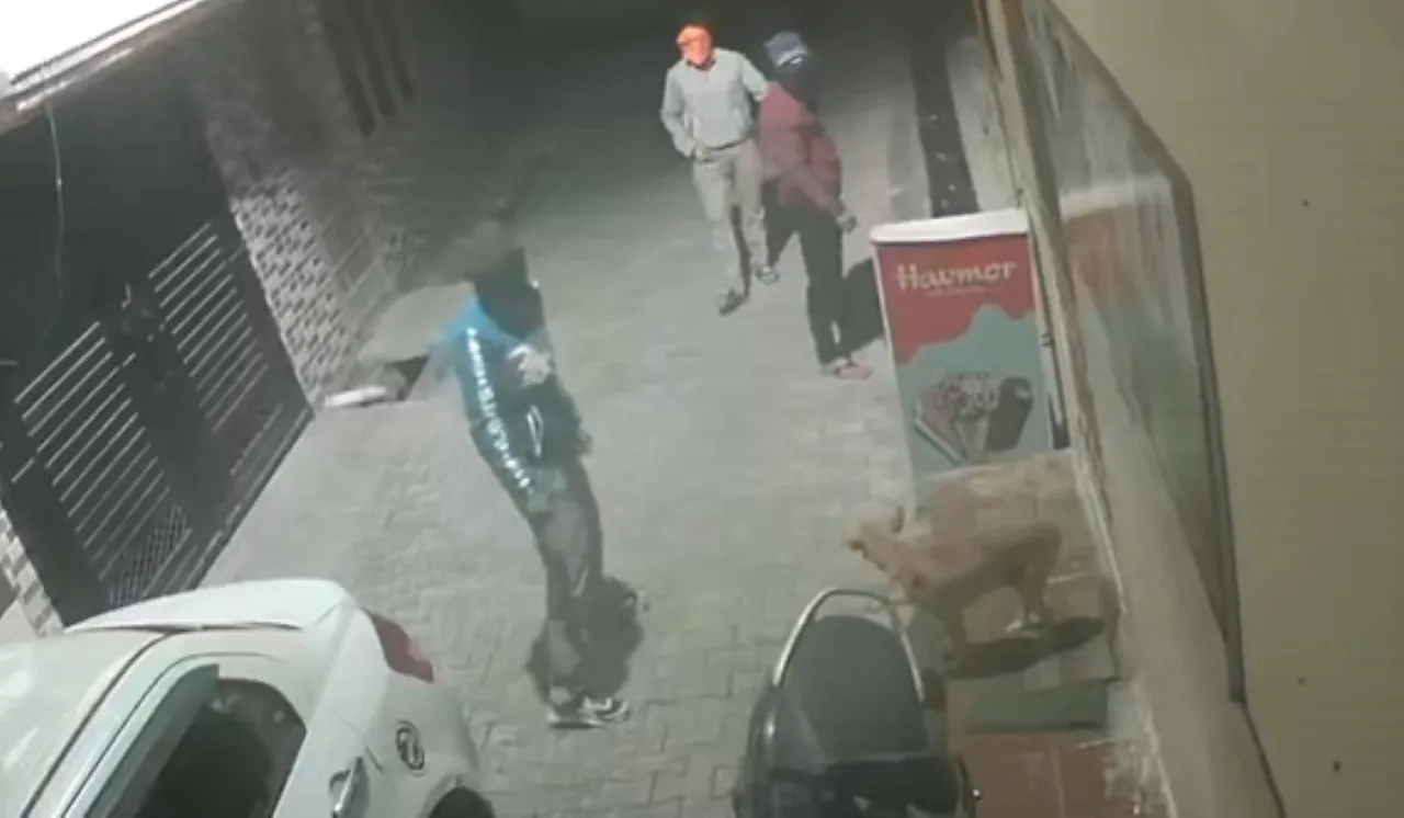 वाईबीएन