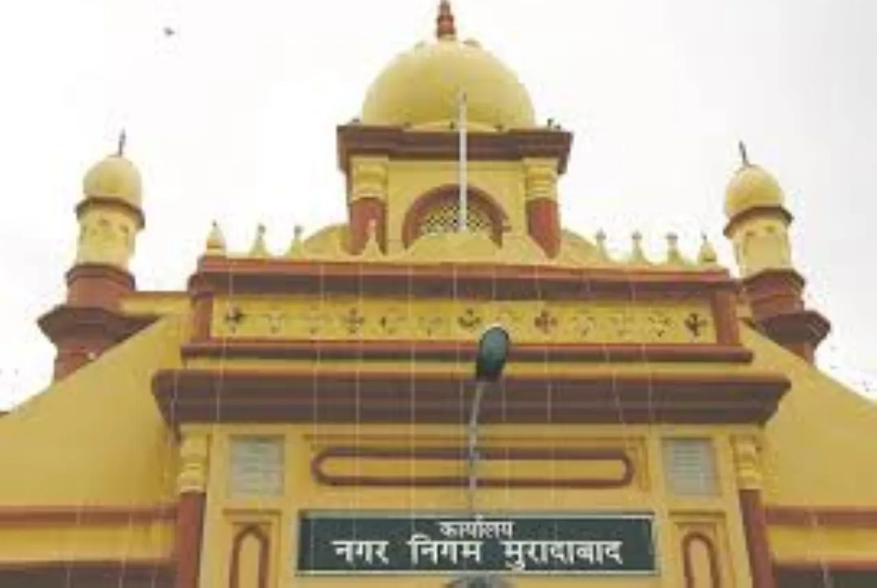 वाईबीएन