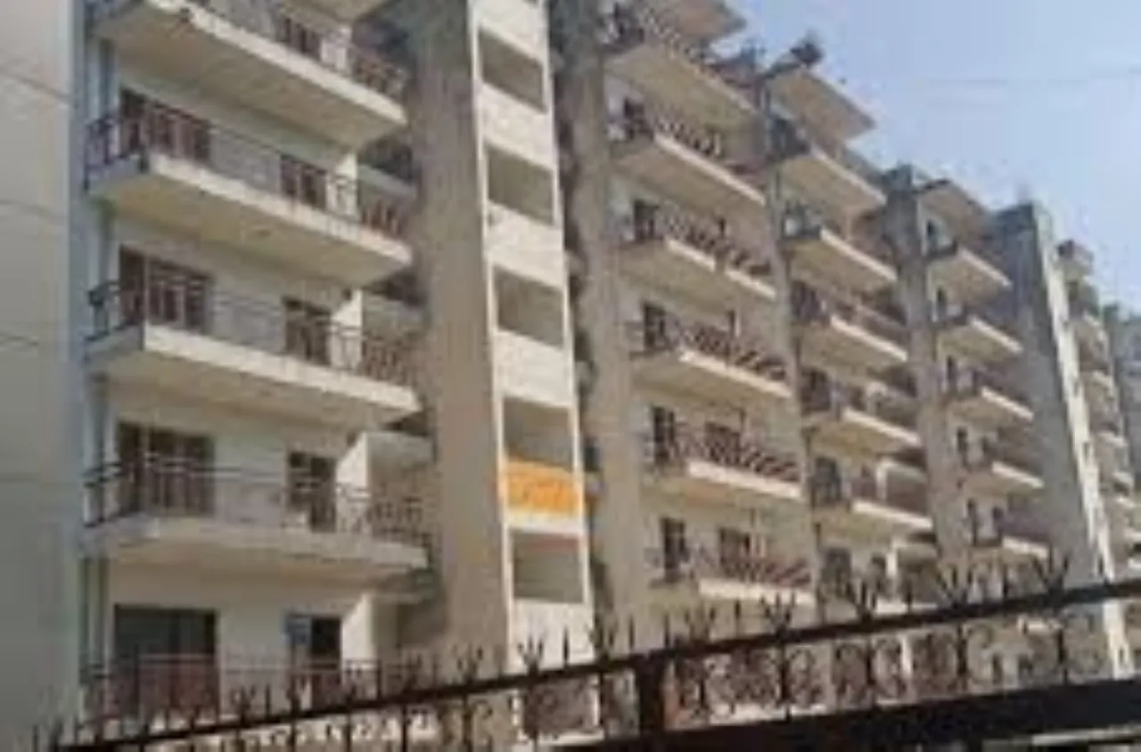 वाईबीएन