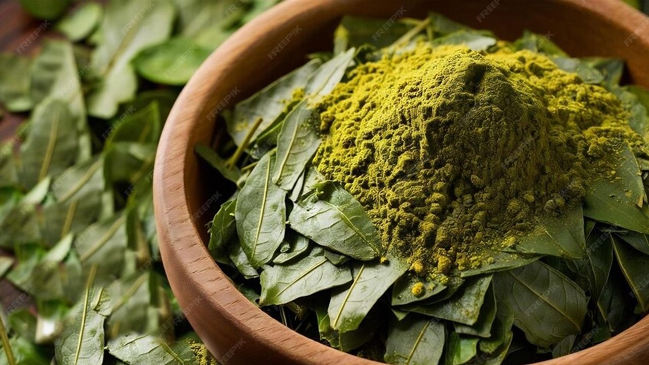 ഒരു പിടി കറിവേപ്പില മതി, ഇനി നാച്യുറലായി നരച്ച മുടി കറുപ്പിക്കാം