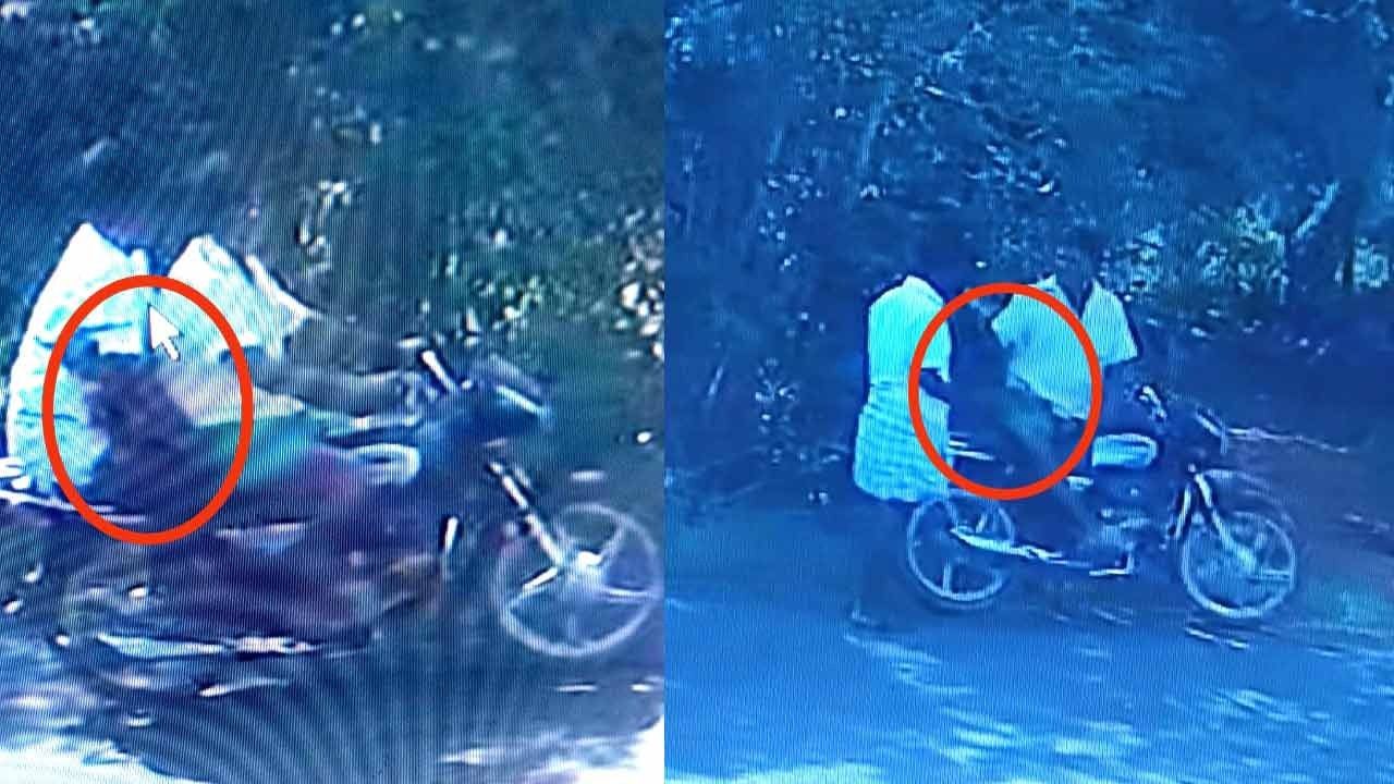 பட்டப்பகலில் ஆடு திருட்டு; சி.சி.டி.வி.யில் சிக்கிய திருடர்கள்!