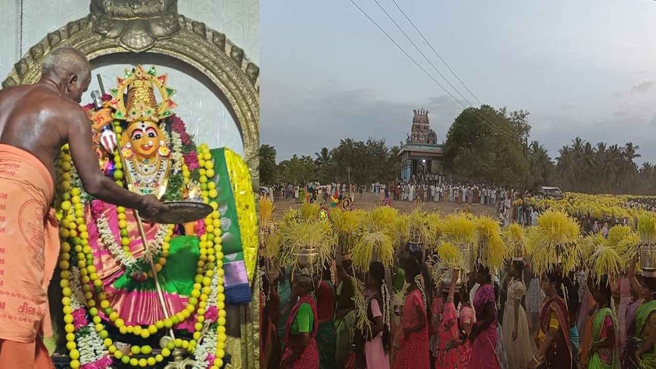 பிடாரியம்மன் கோவில் முளைப்பாரி திருவிழா! ஆயிரக்கணக்கான பெண்கள் பங்கேற்பு