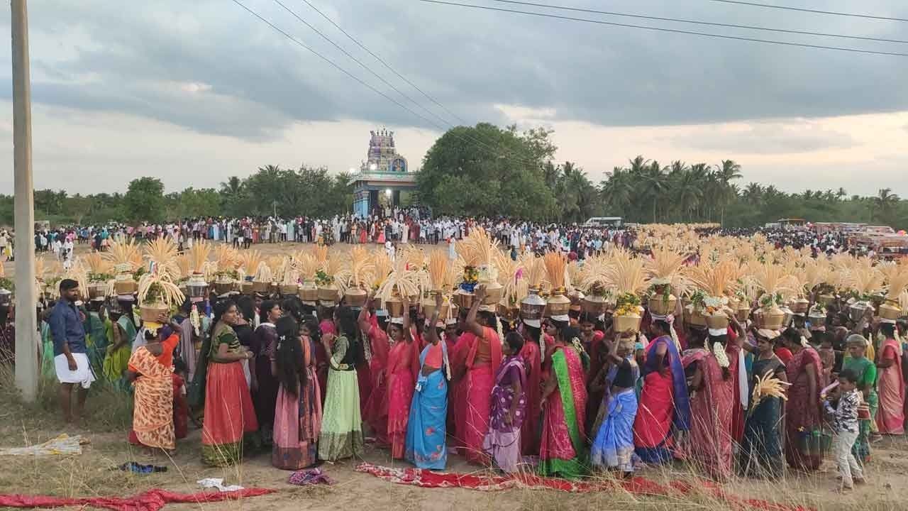 பிடாரியம்மன் கோவில் மது எடுப்புத் திருவிழா! ஆயிரக்கணக்கில் ஆட்டம் பாட்டத்துடன் அசைந்தாடி வந்த தென்னம்பாளைகள்!