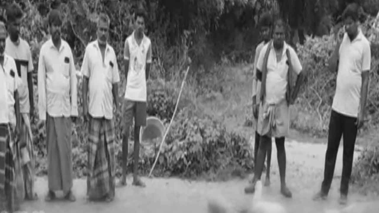21 ஆடுகளை கடித்து கொன்ற நாய்கள்; வந்தவாசியில் அதிர்ச்சி