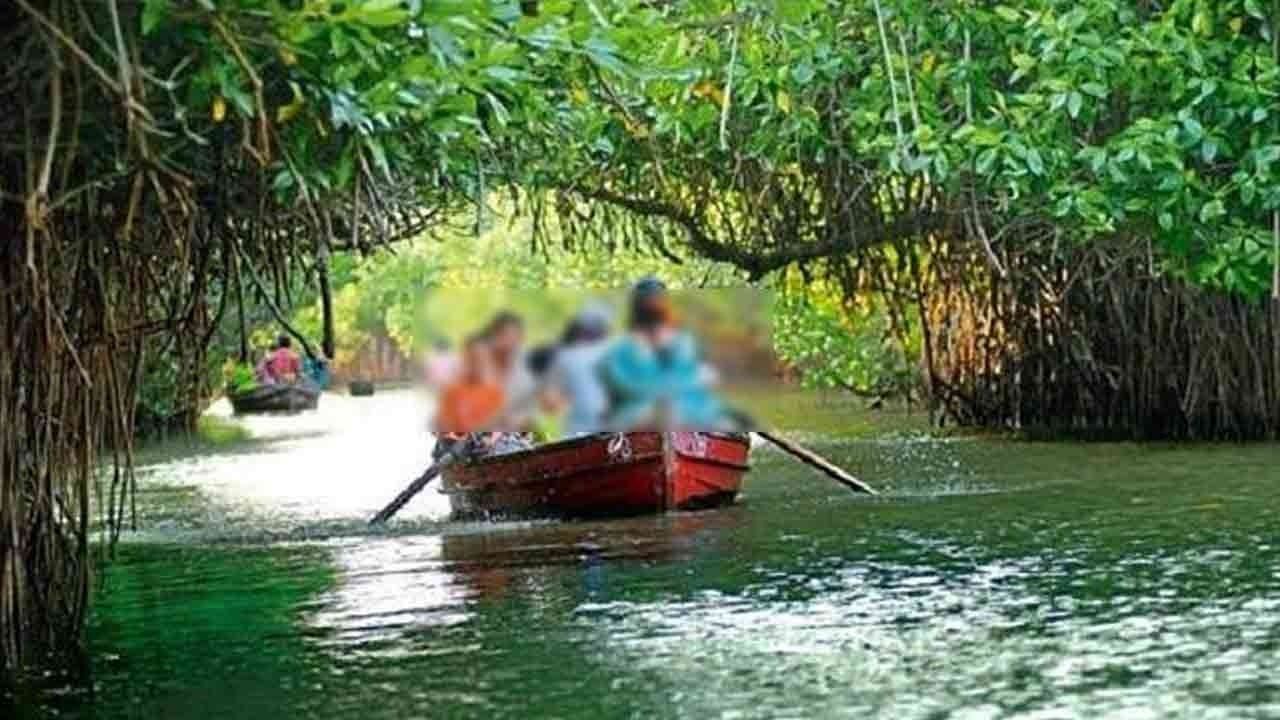 படகு ஓட்டும்போது ஓட்டுநர் மயங்கி விழுந்து மரணம்- பிச்சாவரத்தில் சோகம்