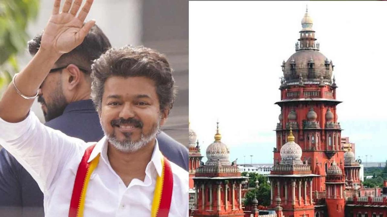 'தவெகவின் தலைவர் ஏன் கூட்டத்தை கட்டுப்படுத்த கூடாது?'-நீதிமன்றம் கேள்வி