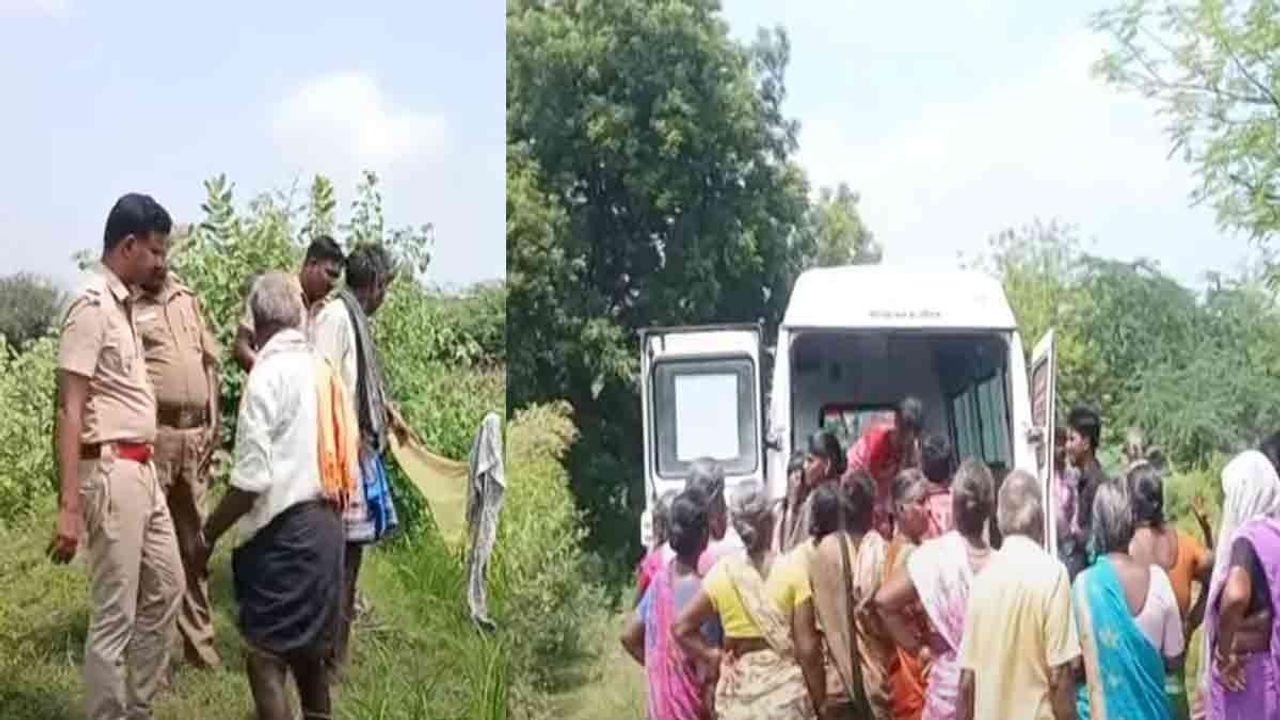 வயலில் பூச்சி மருந்து தெளிக்க சென்ற இருவருக்கு நேர்ந்த சோகம்; போலீசார் விசாரணை