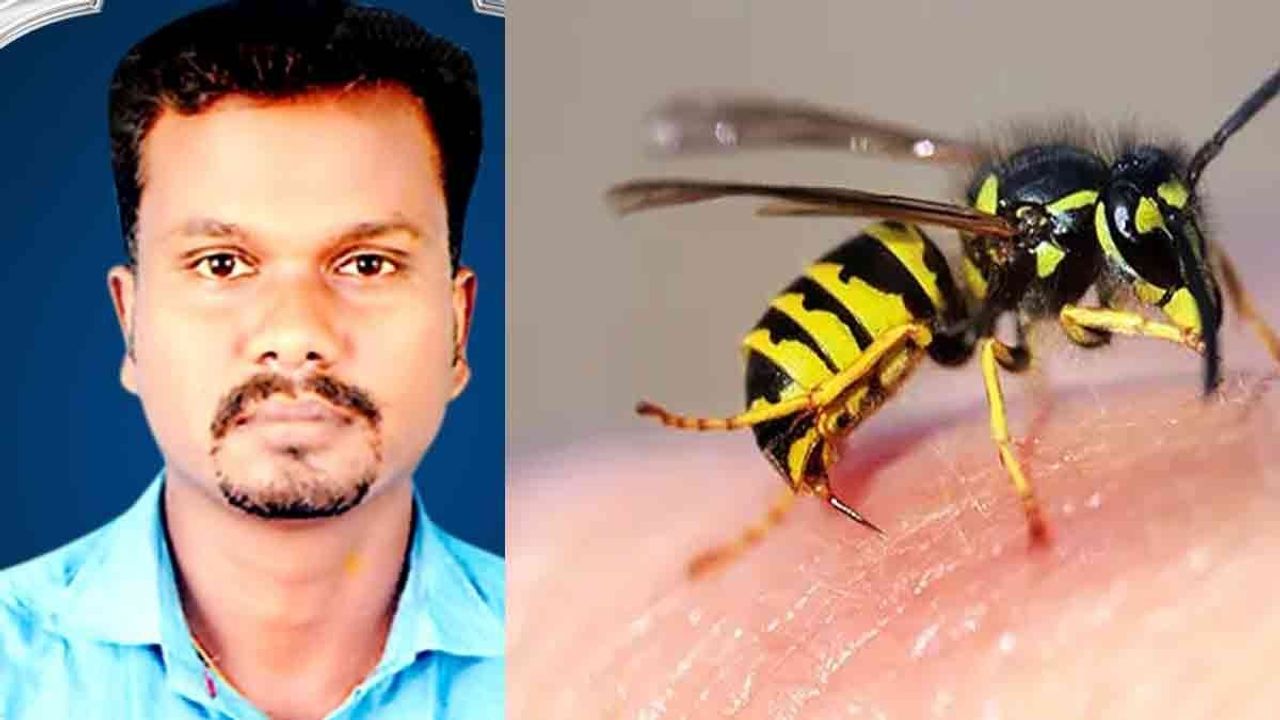 கதண்டுகள் கடித்து கொத்தனார் உயிரி@ப்பு- மற்றொருவருக்கு சிகிச்சை