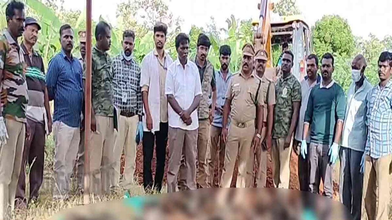 கொத்துக் கொத்தாக மாய்ந்து கிடந்த மயில்கள்-அதிர்ச்சியில் உறைந்த தென்காசி