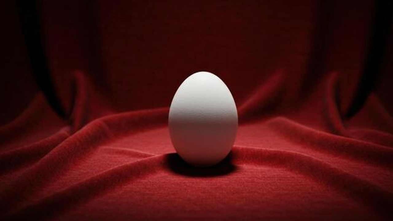 'முட்டை' கிளப்பிய சர்ச்சை- அச்சம் கொடுத்த 'நைட்ரோஃபுரான்'