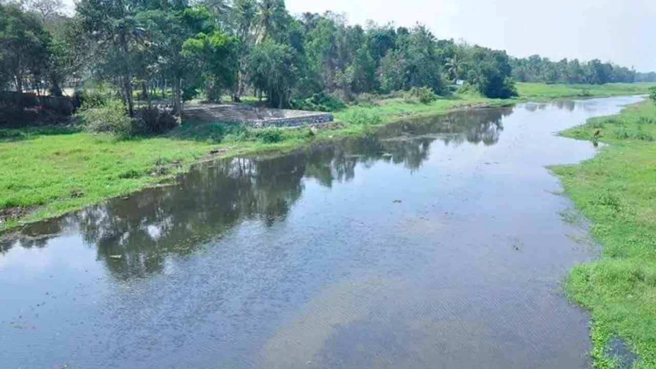 'ஆற்றில் துண்டு துண்டாக மிதந்த தாய், தந்தை'- கைதான மகன் பகீர் வாக்குமூலம்