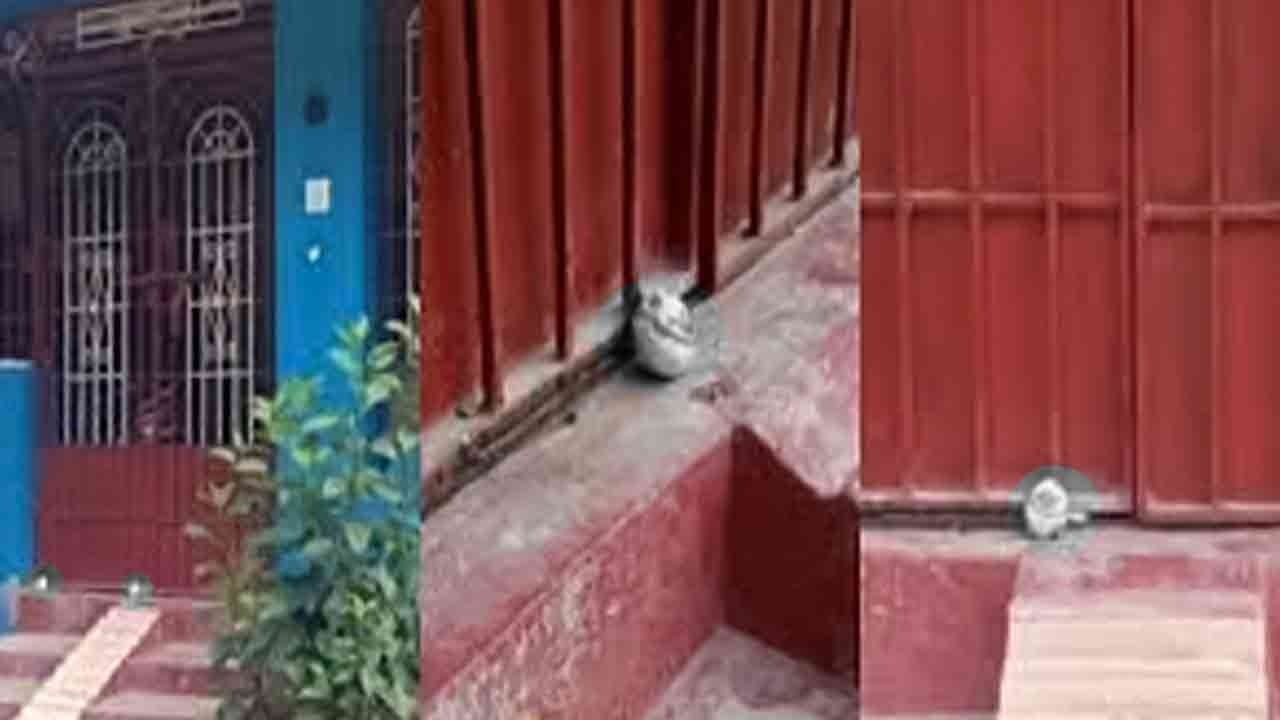 முட்டையில் தெரிந்த உருவம்; அதிர்ச்சியில் உறைந்த குடும்பம்!