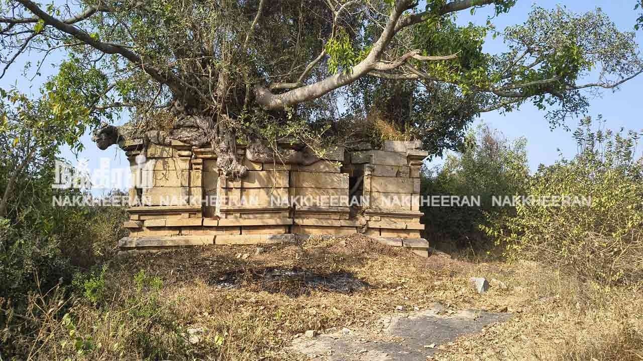 900 ஆண்டுகள் பழமையான சோழர் காலக் கோயிலைக் கண்டுபிடித்த பெண் ஆய்வாளர்!