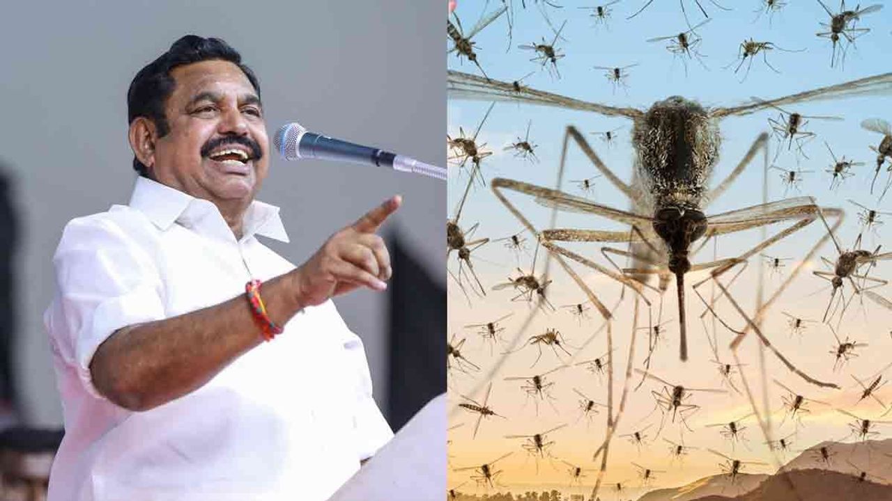 'திமுகவால் கொசுக்களுக்கு கொண்டாட்டம்... மக்களுக்குத் திண்டாட்டம்'-எடப்பாடி பழனிசாமி கண்டனம்