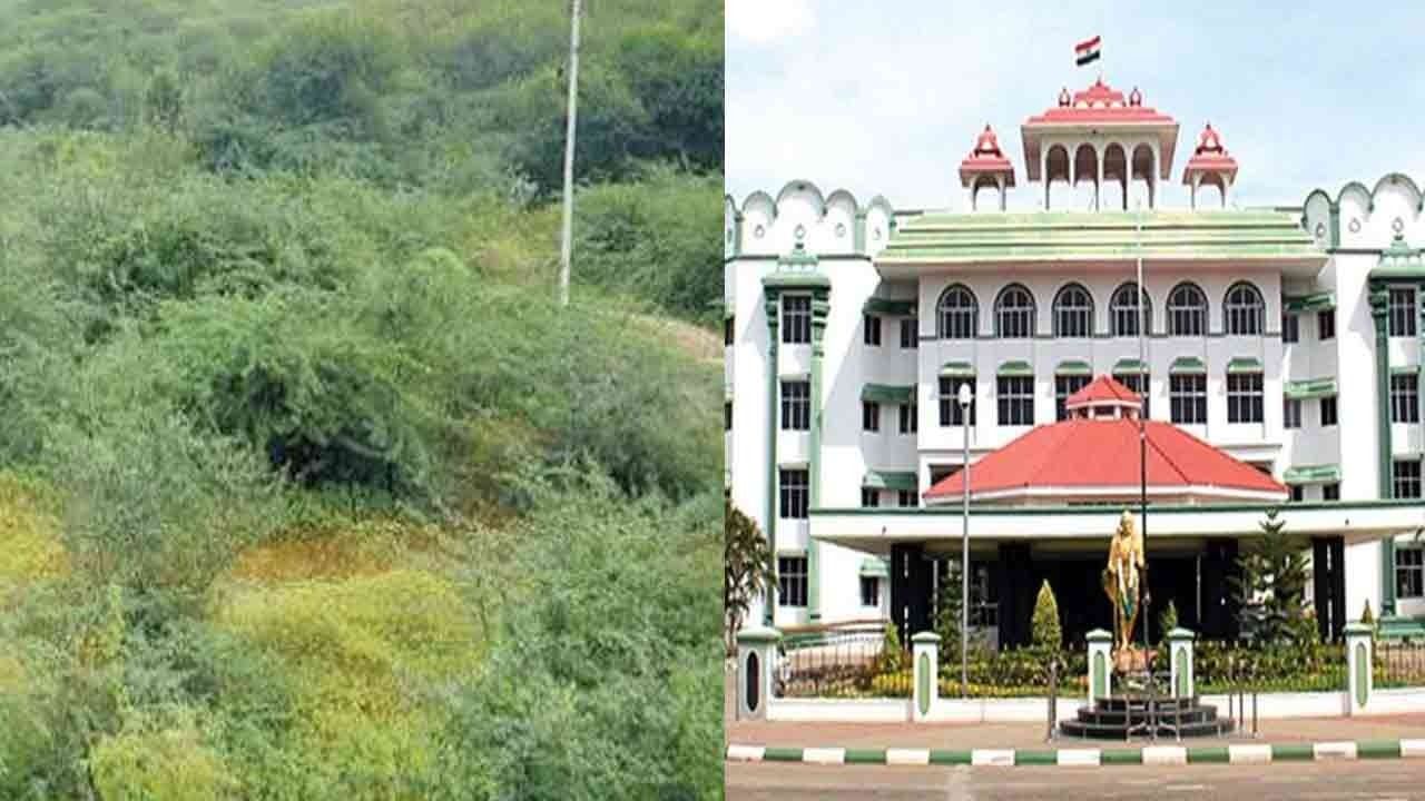 சீமைக்கருவேல மரங்கள் தொடர்பான வழக்கு; நீதிமன்றத்தில் தமிழக அரசு உறுதி!
