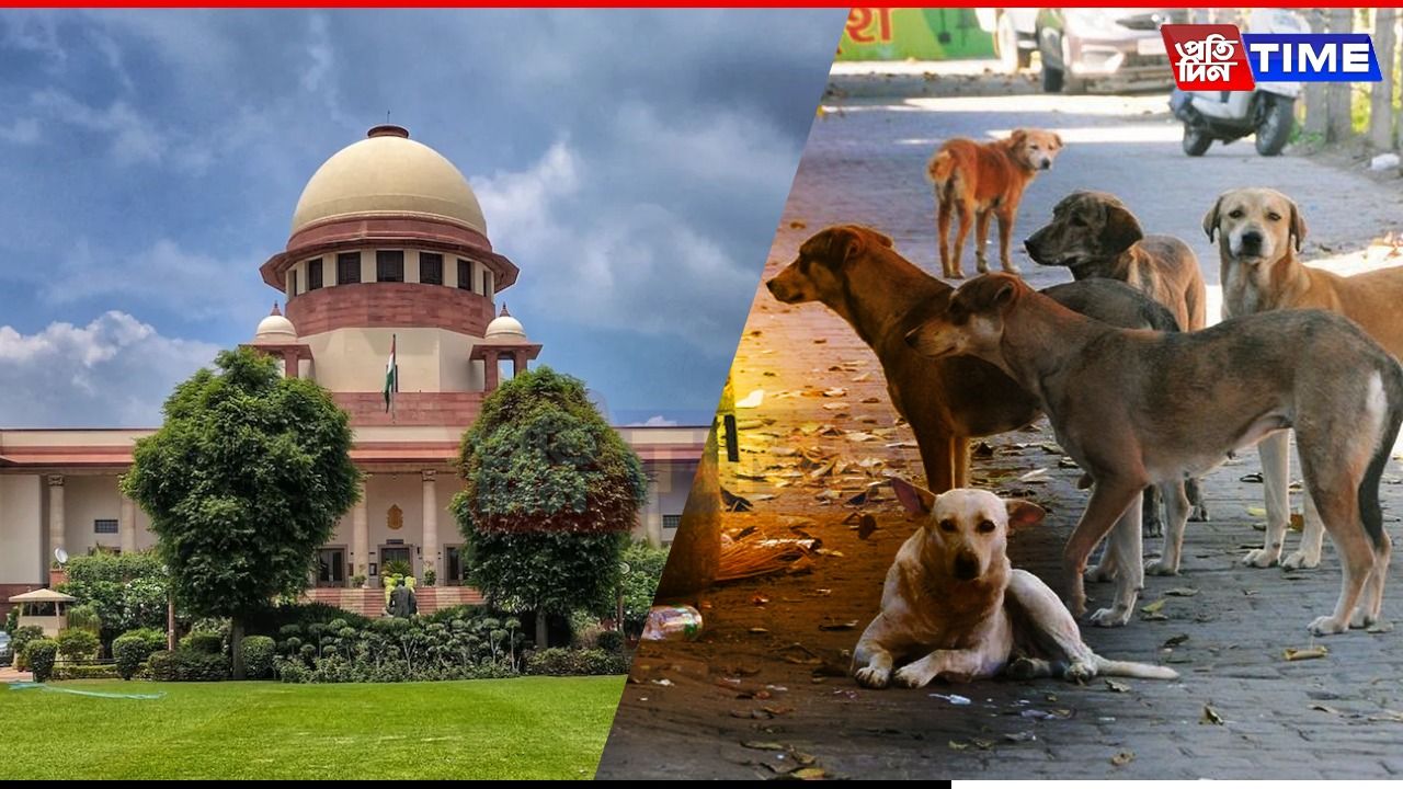 SC Reserves Order on Plea to Stay Directions of Stray Dog Removal in Delhi 