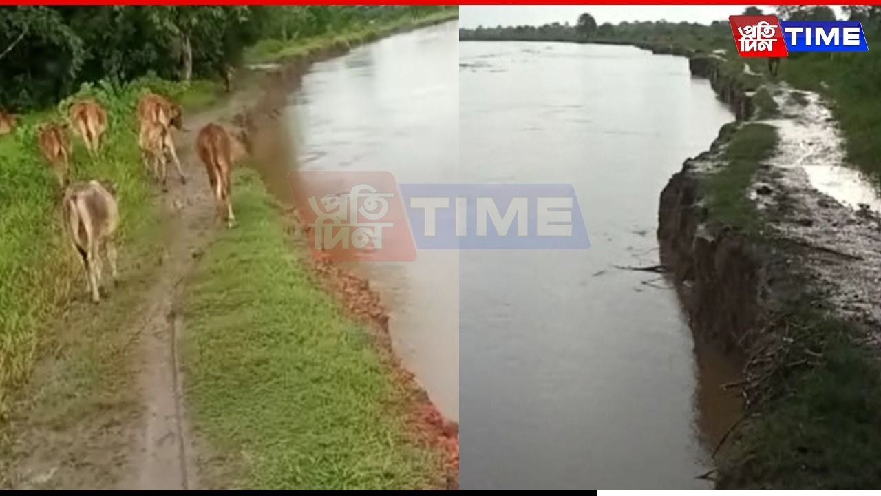 How Dhansiri River Woes Dhodang Area Near Bokakhat? 