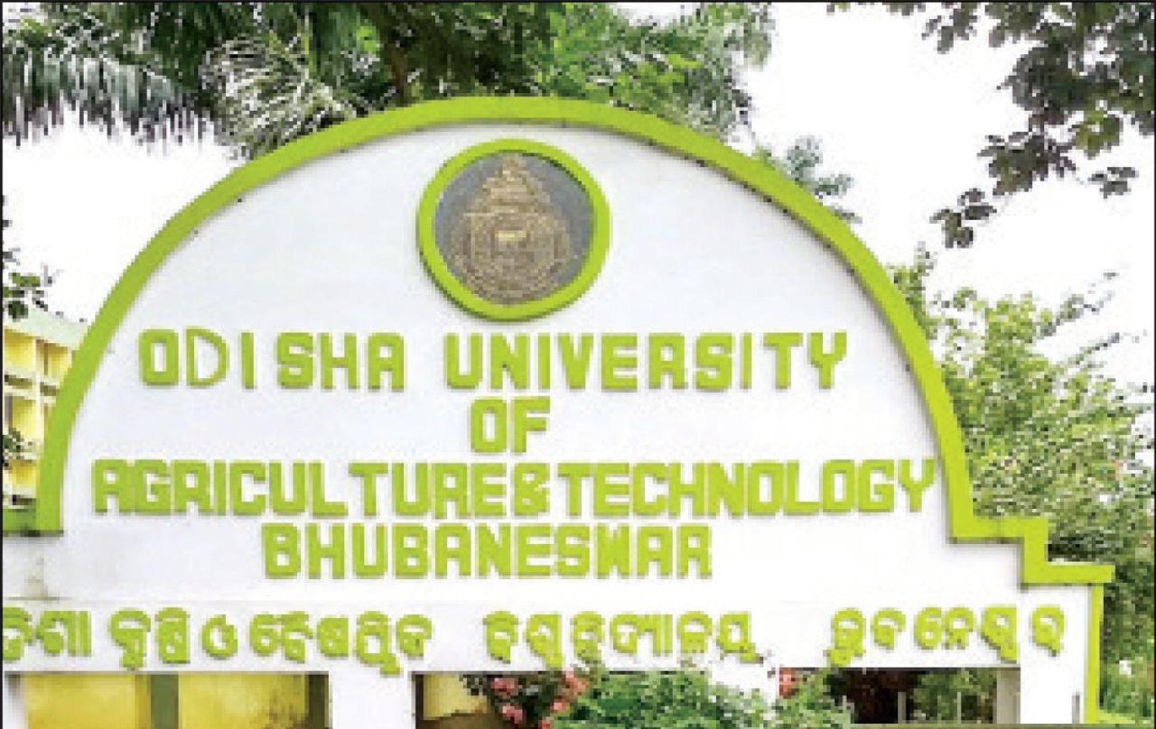 ପଙ୍ଗୁ ହୋଇଯିବ ଓୟୁଏଟି! ୩ ମାସରେ ଅବସର ନେବେ ୨୦ ପ୍ରଫେସର