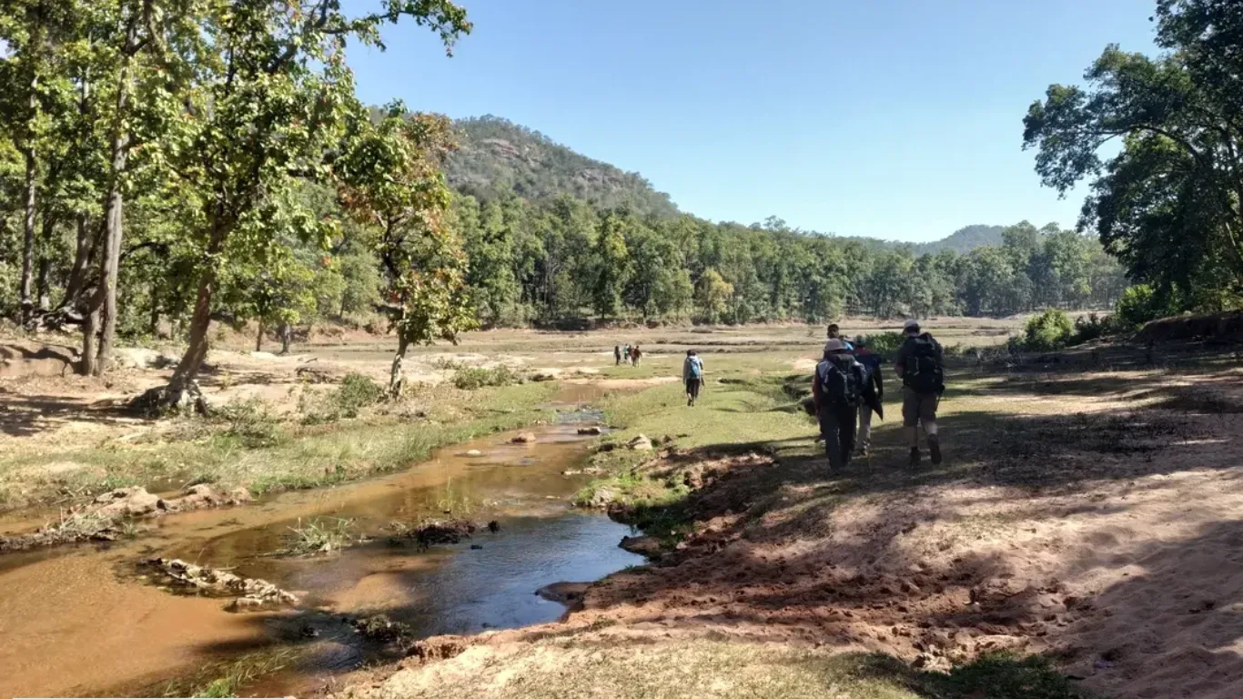Guru Ghasidas (Sanjay) National Park, Chhattisgarh