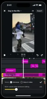Edits volume control