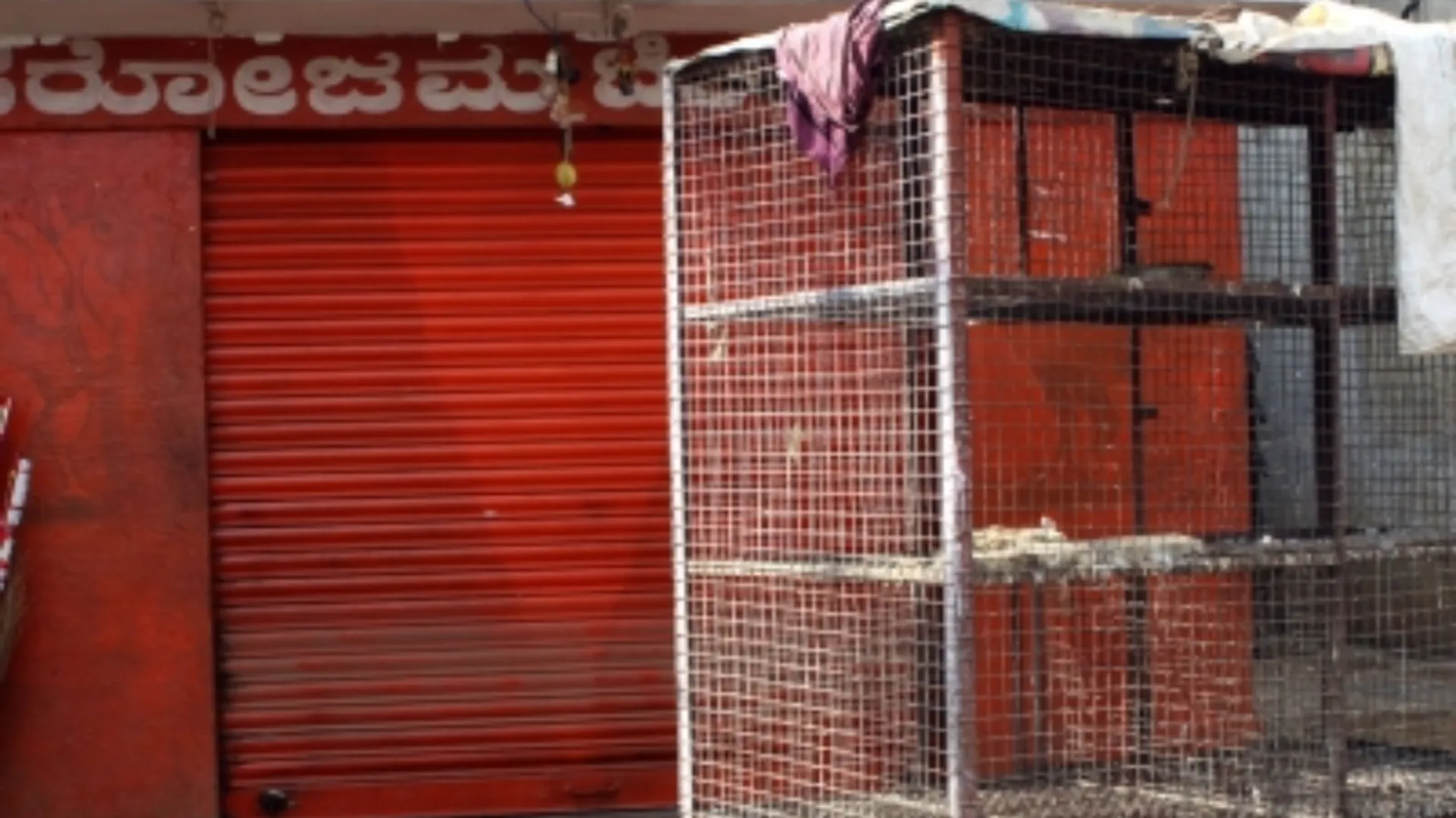 Chicken Shop