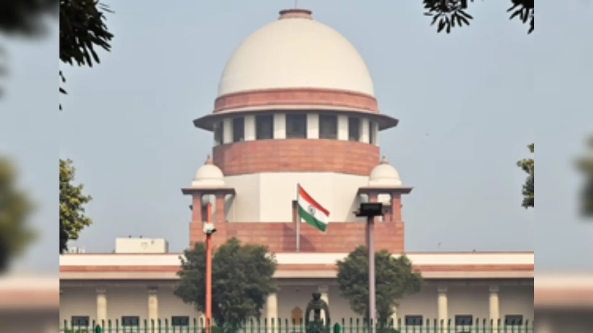 NAN SCAM, Chhattishgarh, Supreme court, 