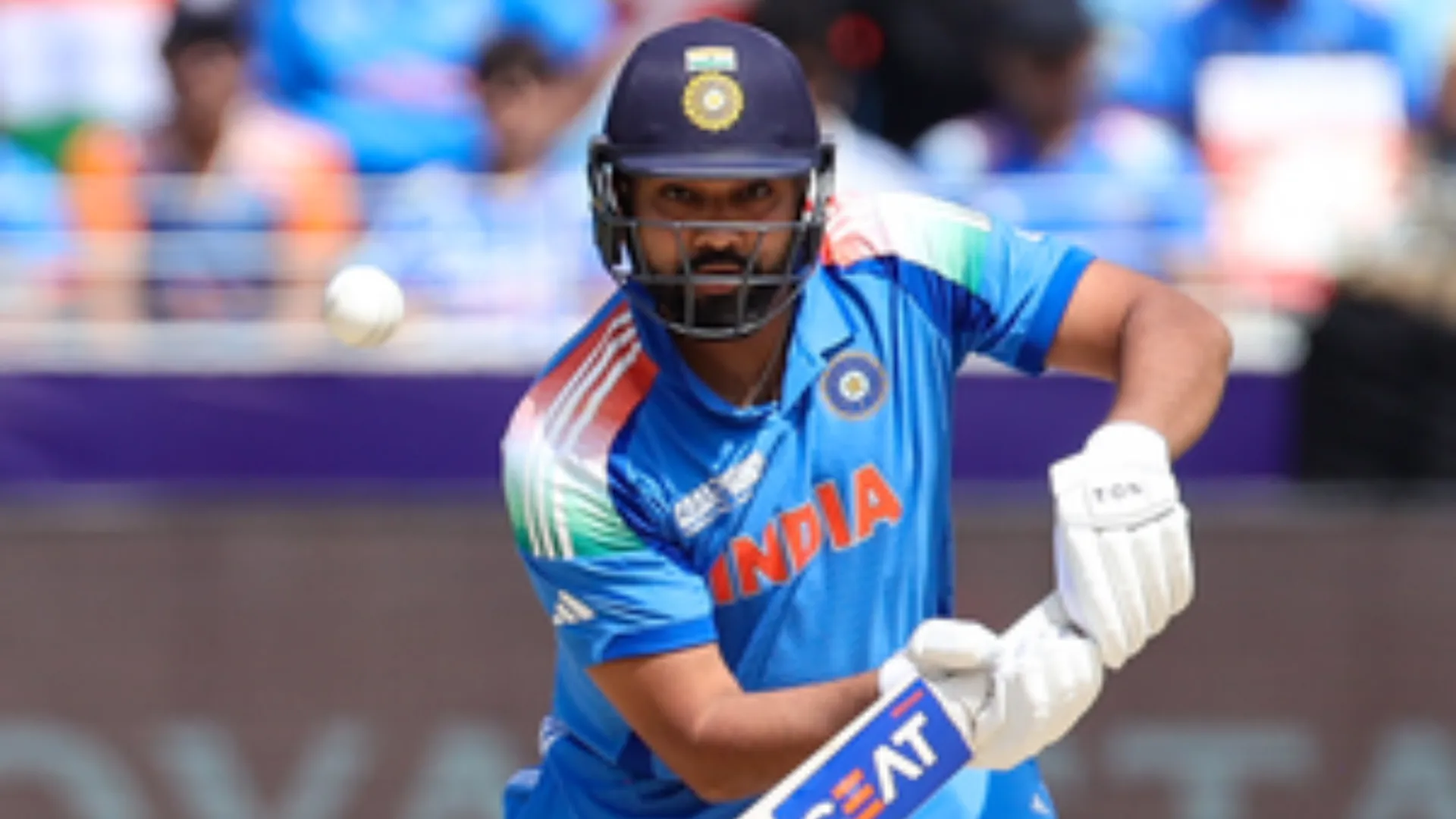 congress spokesperson called rohit sharma fat bjp reacts on it 