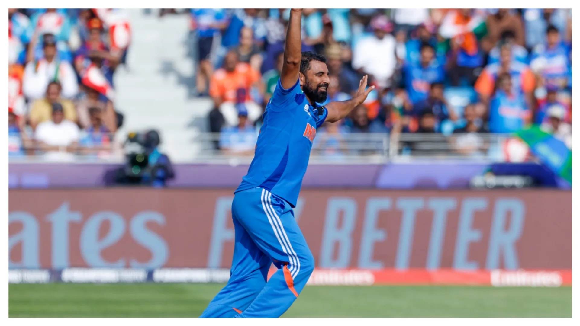 mohammed shami