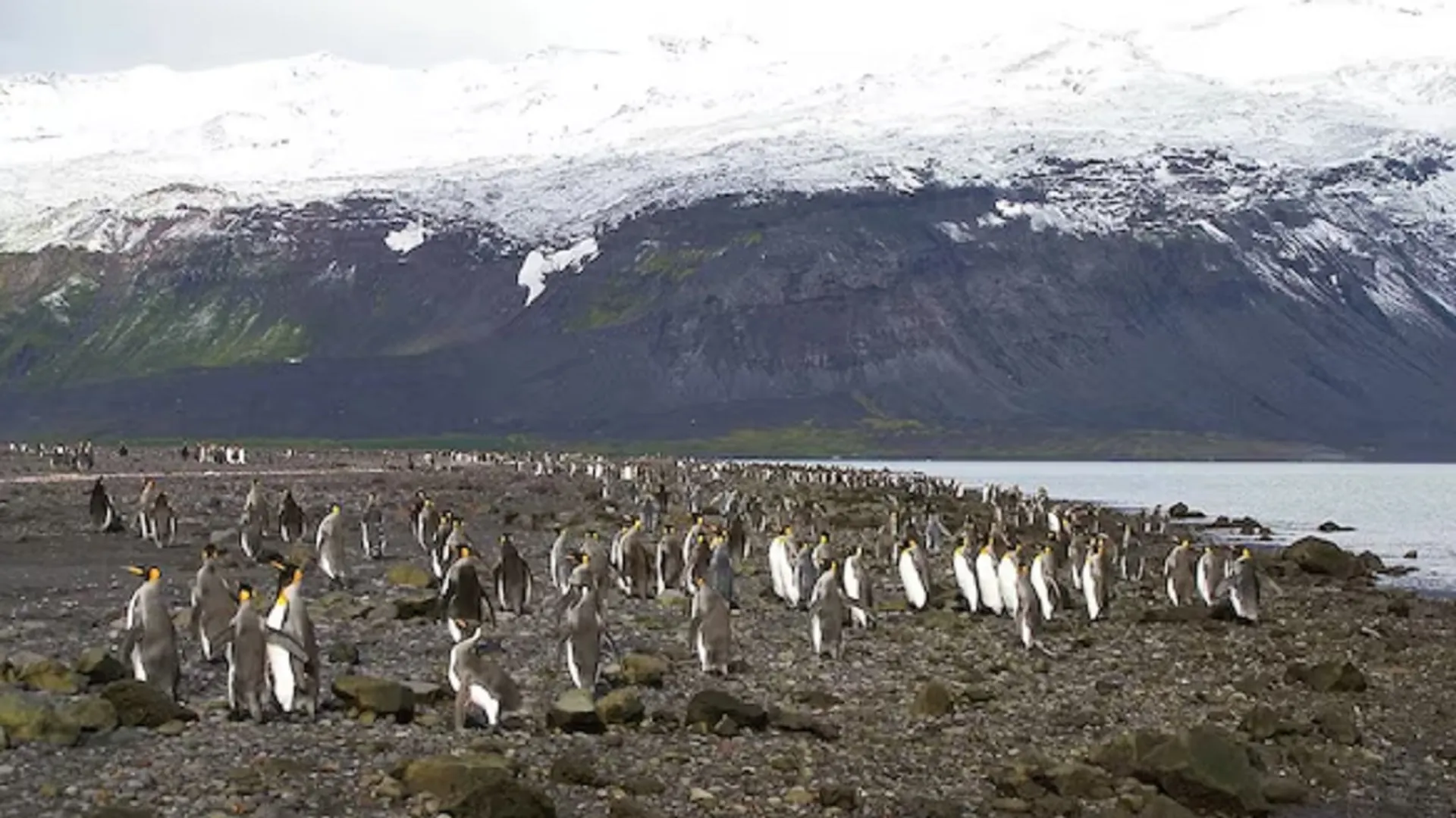 antarctica 