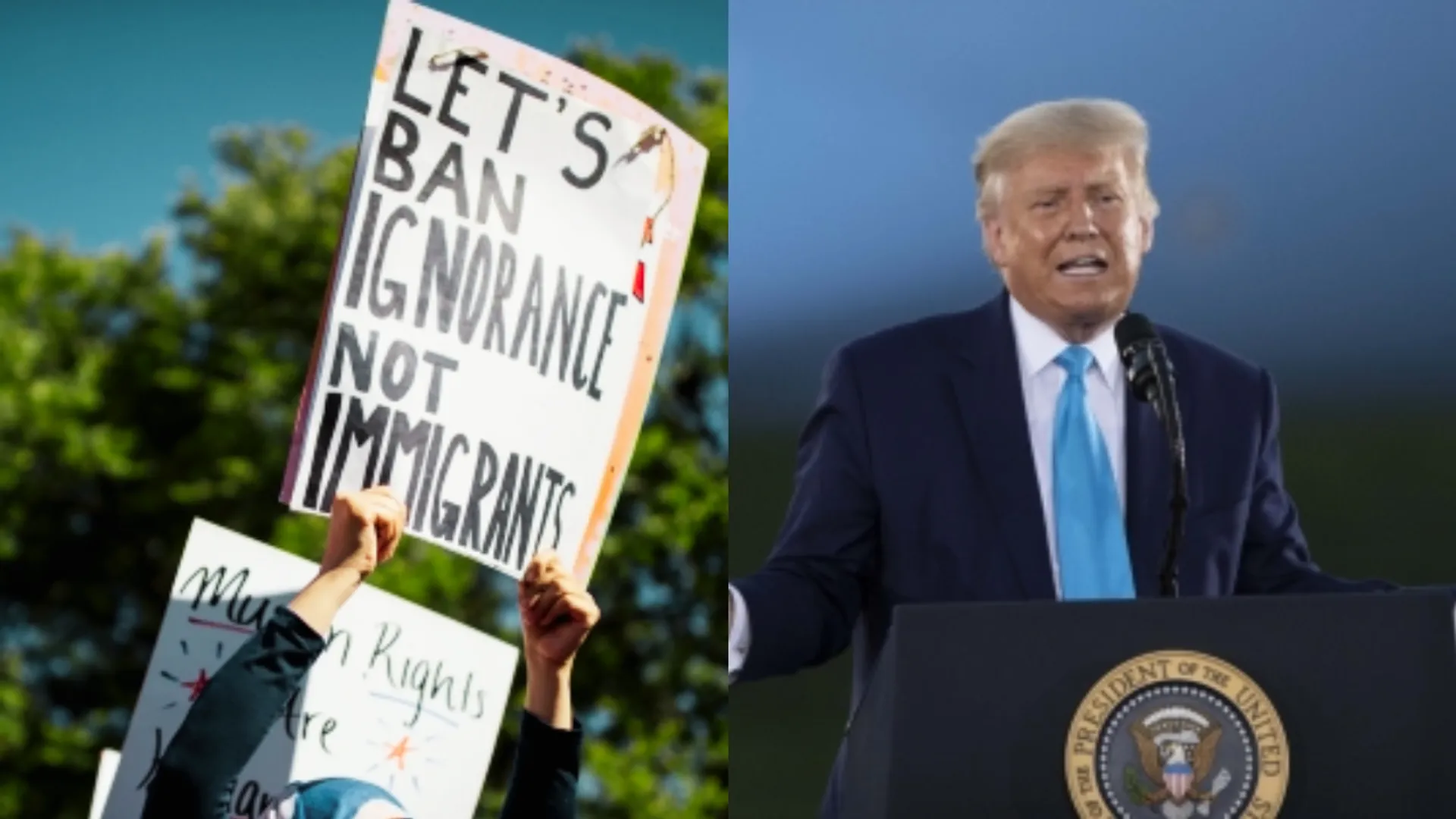 Protest Against Donald Trump And Elon Musk In America