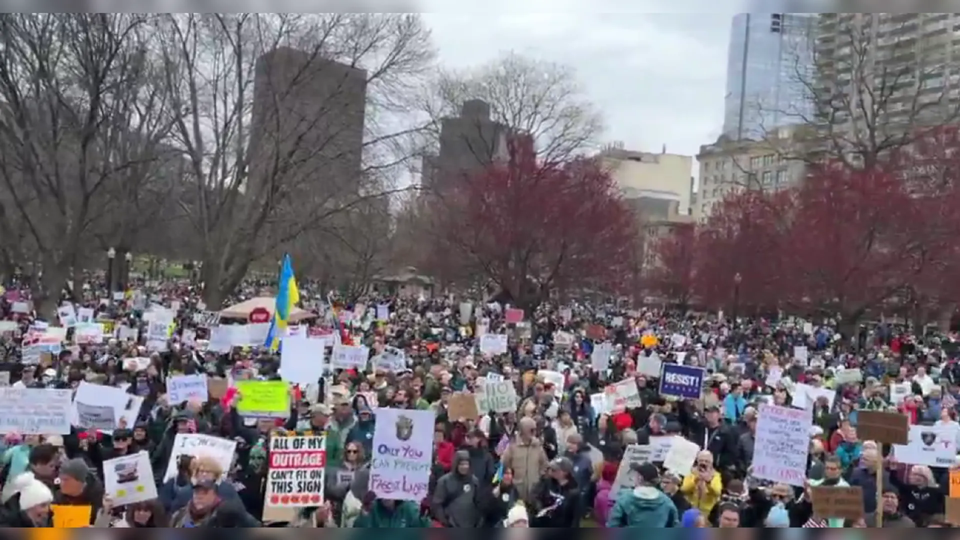 hands off protest in amrica, America, DONALD  Trump, Elon Musk, Washington, new york, heavy protest stages all around united states of america, अमेरिका में हैंड्स ऑफ प्रोटेस्ट, डोनाल्ड ट्रंप, एलन मस्क के खिलाफ सड़कों पर हजारों लोग,