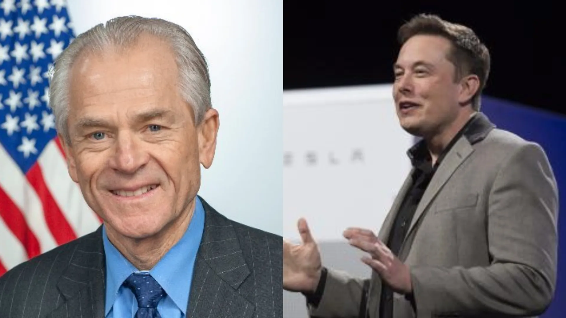 elon musk called white house trade advisor peter navarro truly a moron