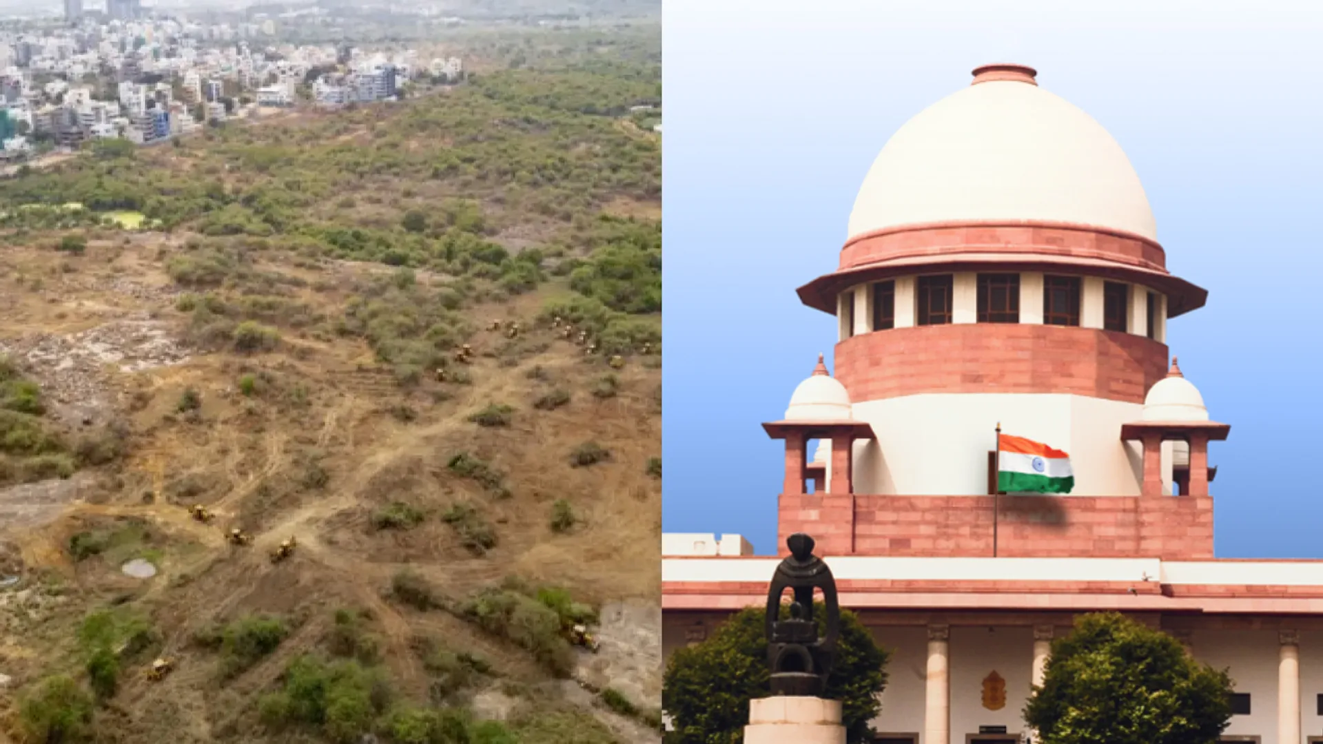 supreme court on tree felling in kanacha gachibowli in telangana 