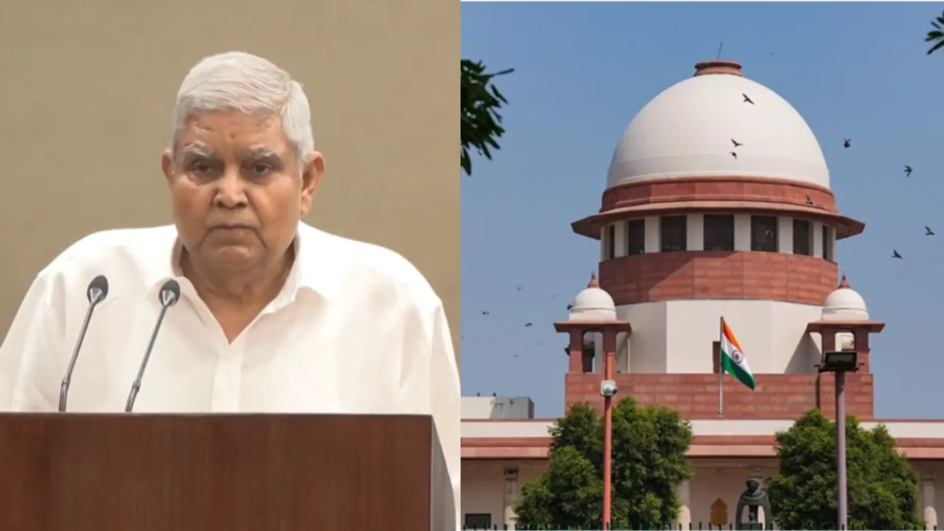 vice president jagdeep dhankhar said cannot have situation where you direct president 