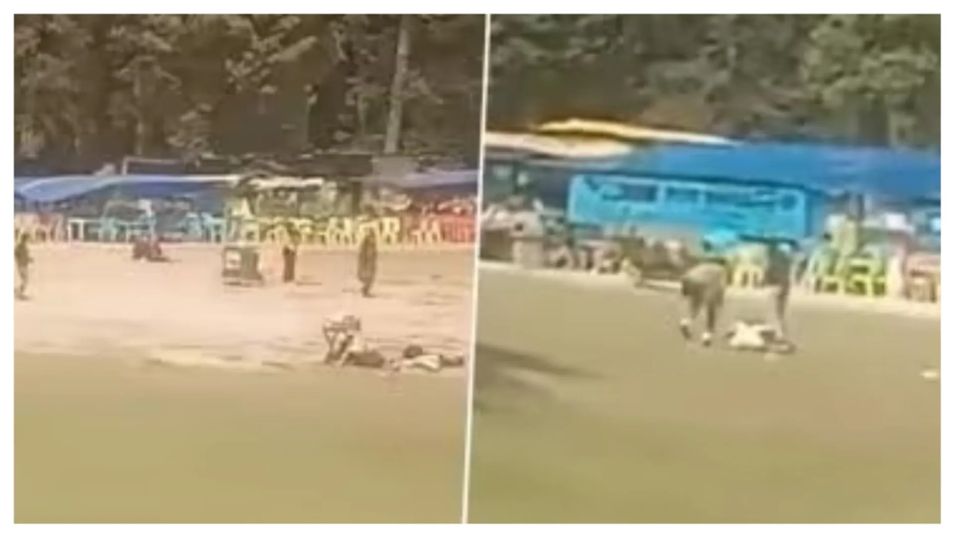 Pahalgam terror attack video