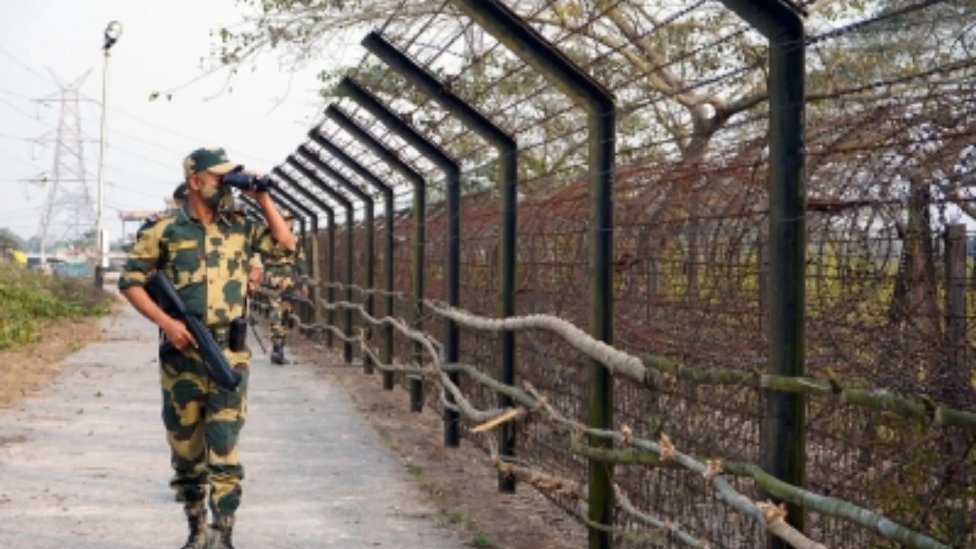 bsf got big success seized gold worth rupees 1.56 crore at india bangladesh border