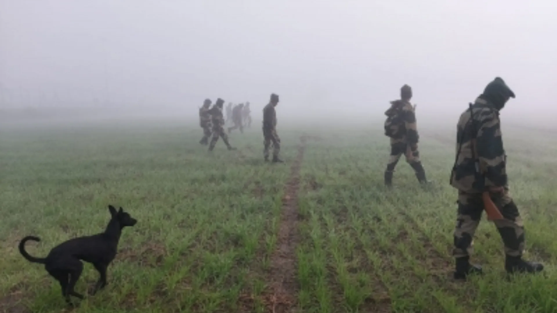 bsf shiot down seven jem infiltrators in samba sector of jammu and kashmir