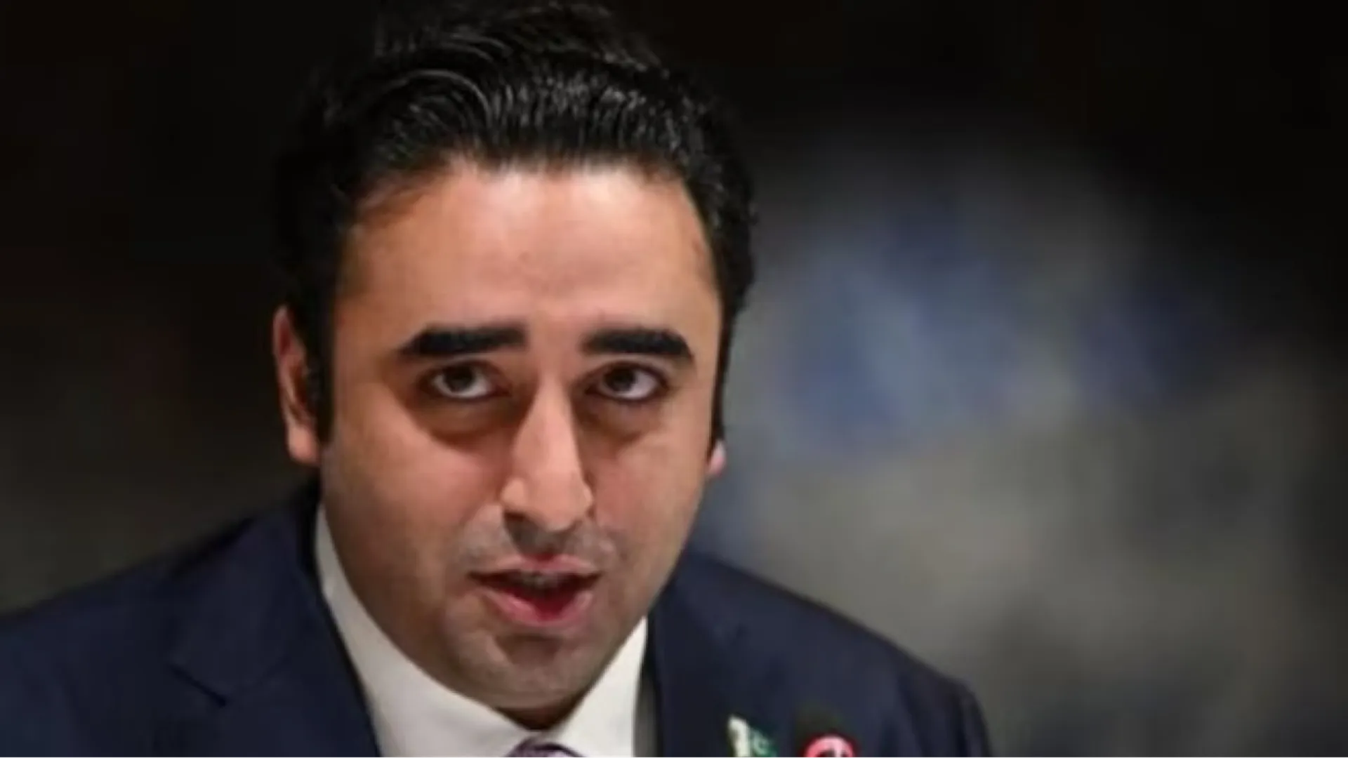 Bilawal Bhutto, Pakistan peace delegation, 