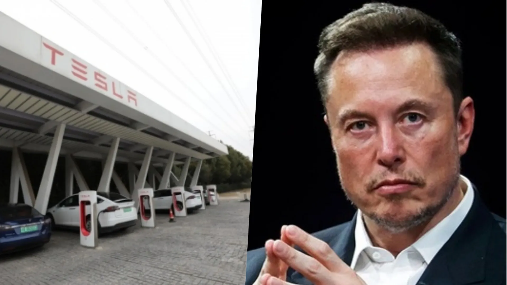 Elon Musk, Tesla, Denmark, Tscherning