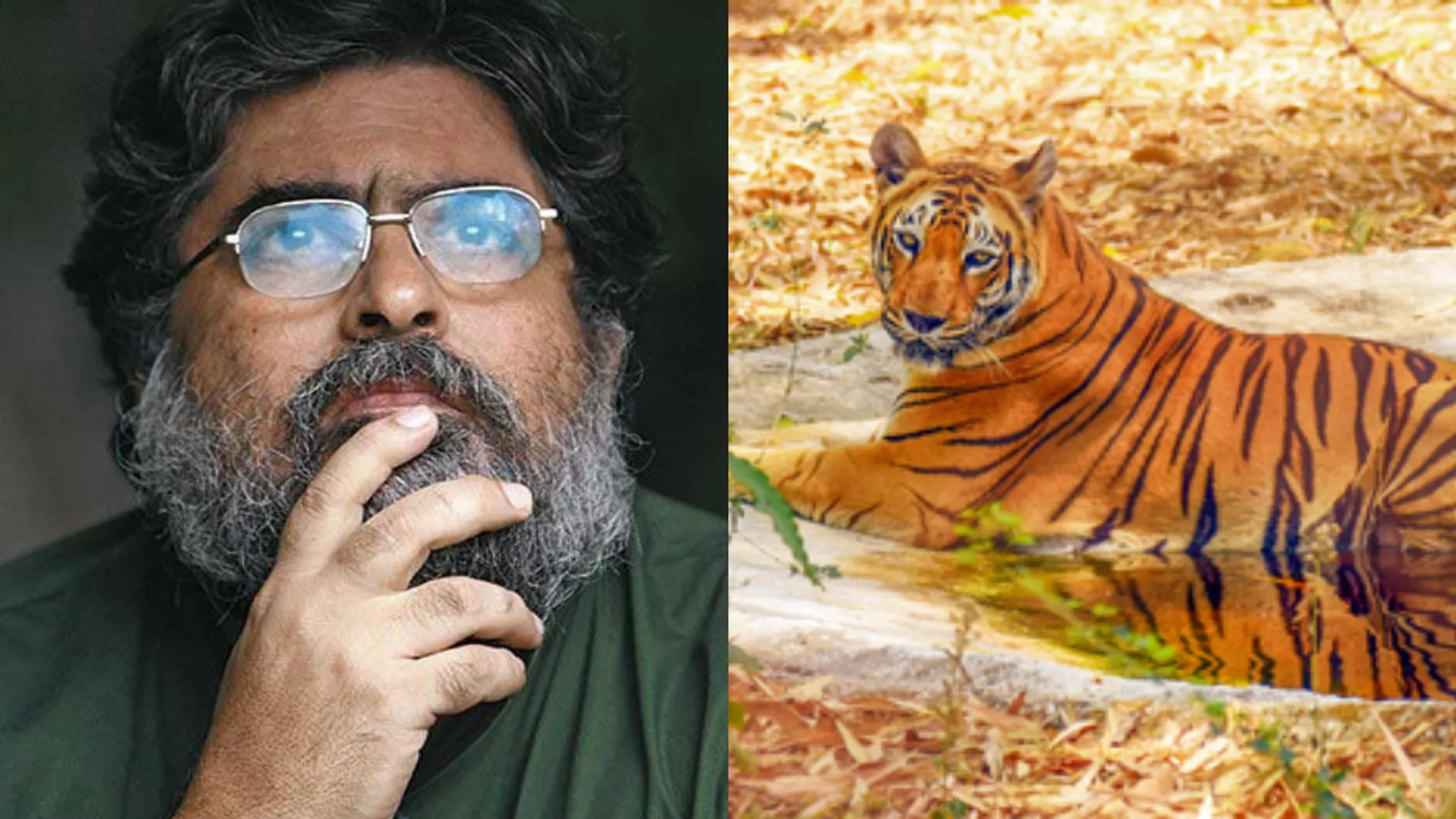 tiger man valmik thapar died at age of 73 suffering from cancer