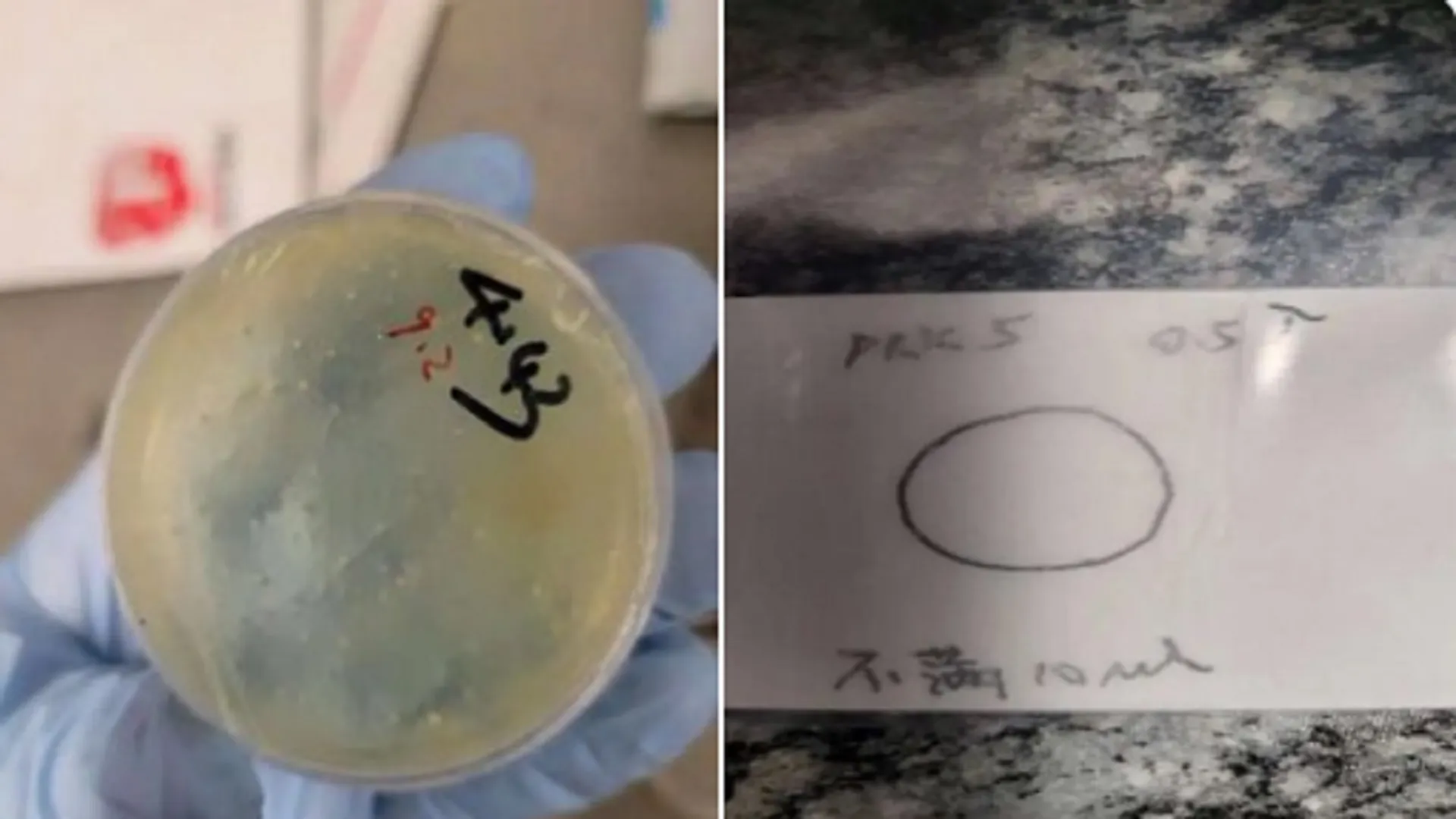 biological materials 1