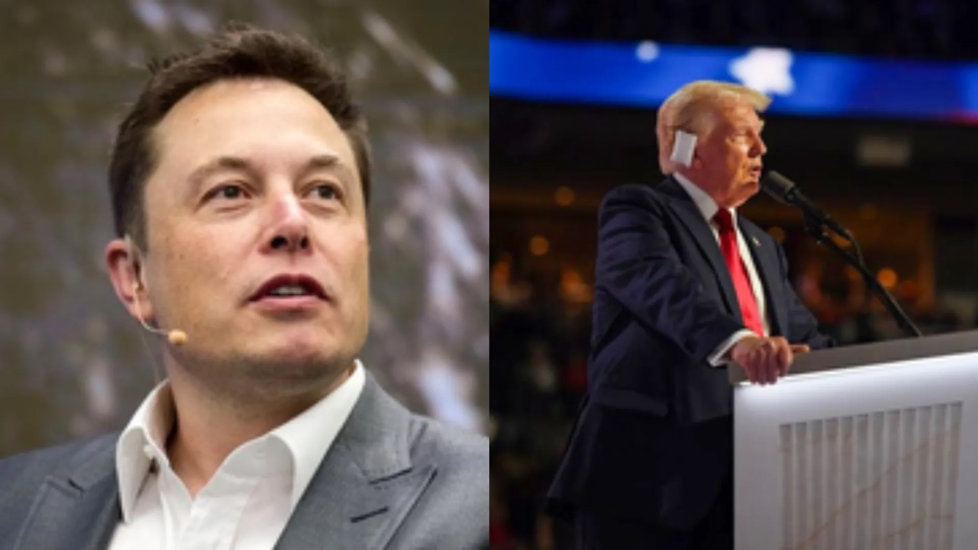 elon musk regrets for his posts on donald trump 