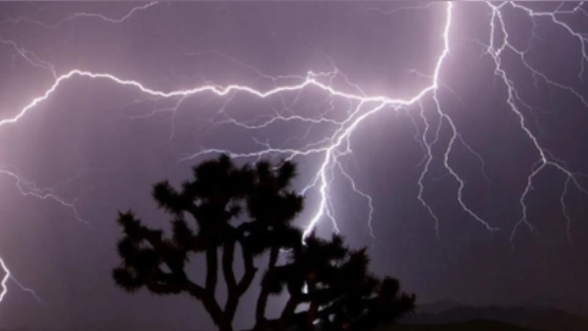 LIGHTNING WEAKS IN PRAYAGRAJ FOUR PEOPLE OF A FAMILY DEAD