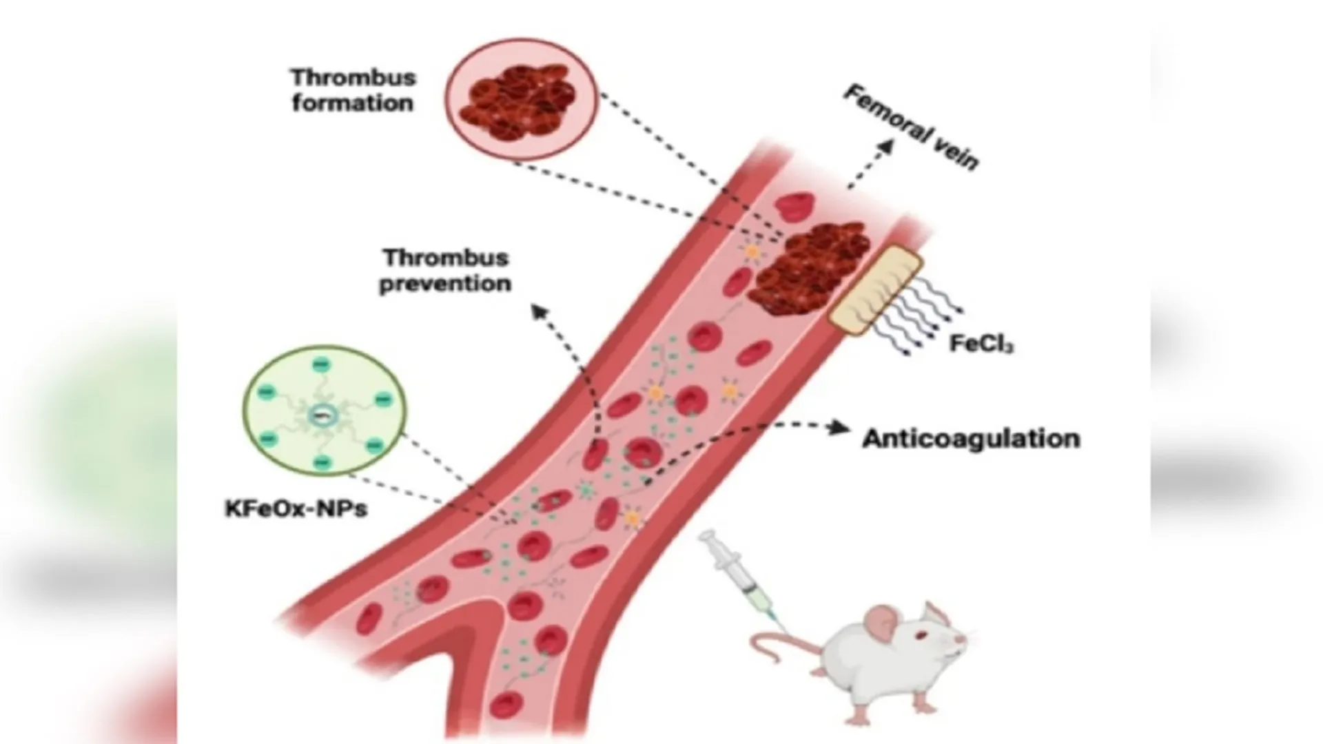 nano particles 1